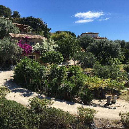 أوليوليه Les Terrasses Sur Mer المظهر الخارجي الصورة